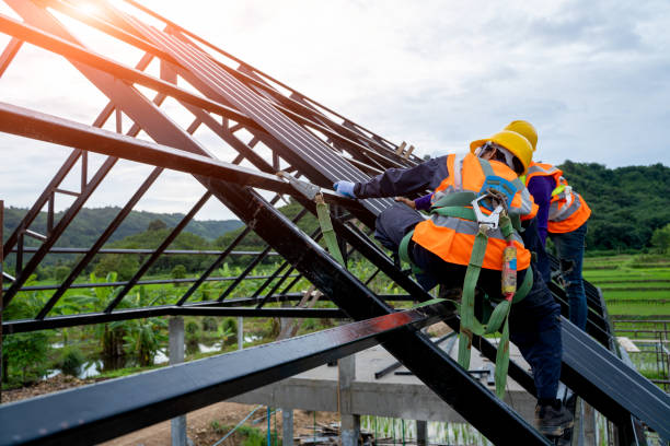 Best Metal Roofing Contractor  in South Amherst, OH